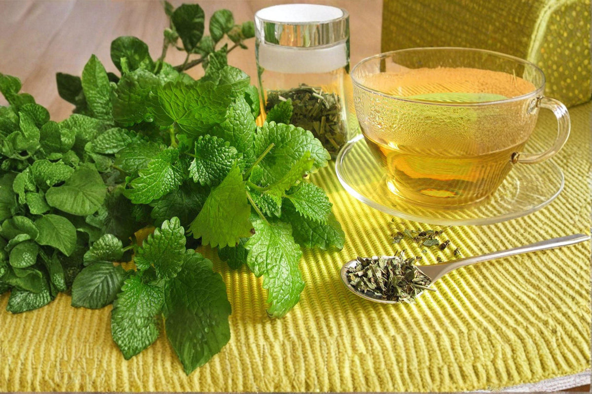 Lemon Balm Seeds | 100 Seeds | Melissa officinalis | Aromatic Medicinal Herb for Tea & Culinary Use