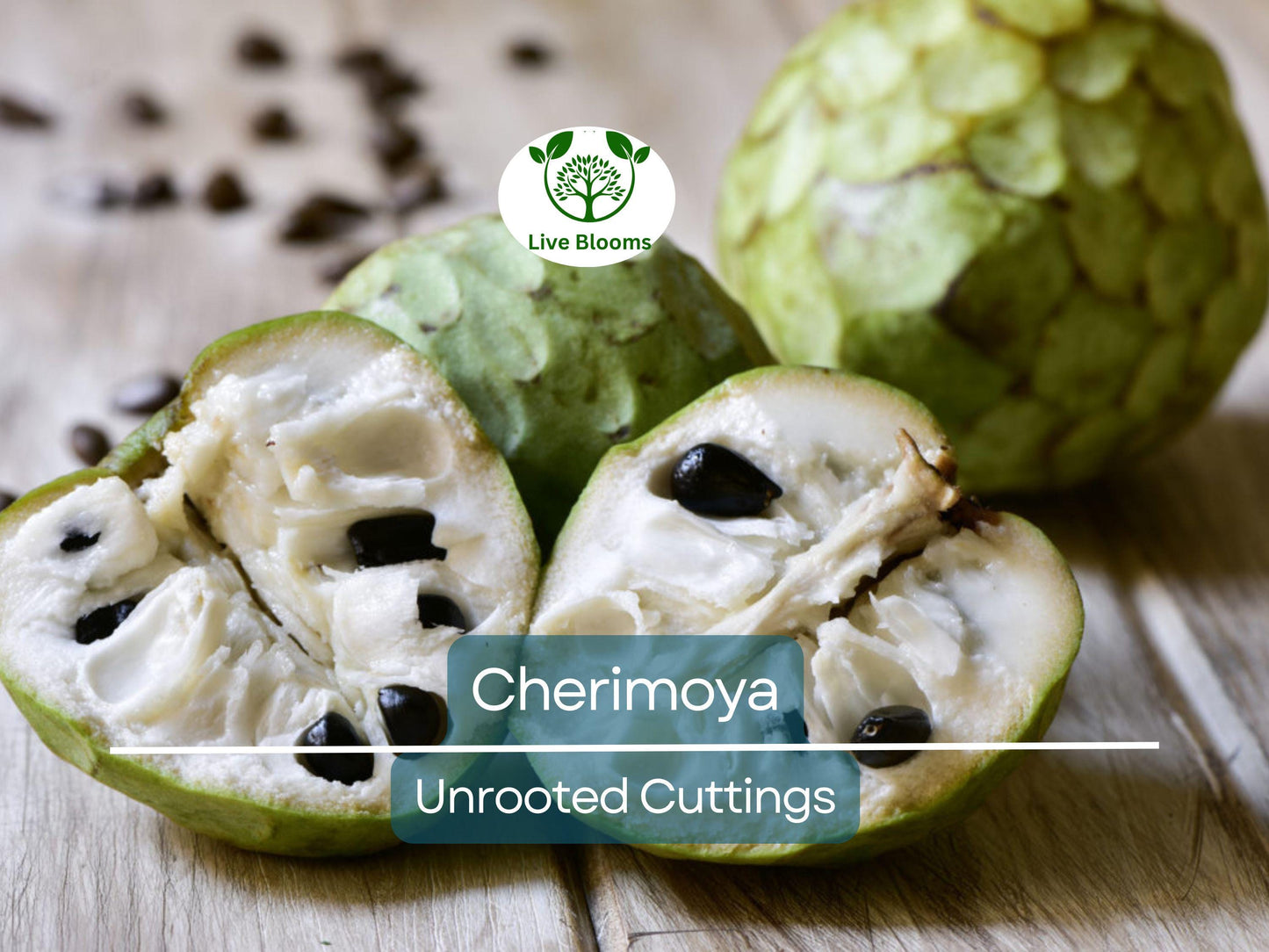 4 Pcs California Cherimoya Unrooted Cuttings - Annona cherimola Sweet Custard Fruit for Easy Propagation