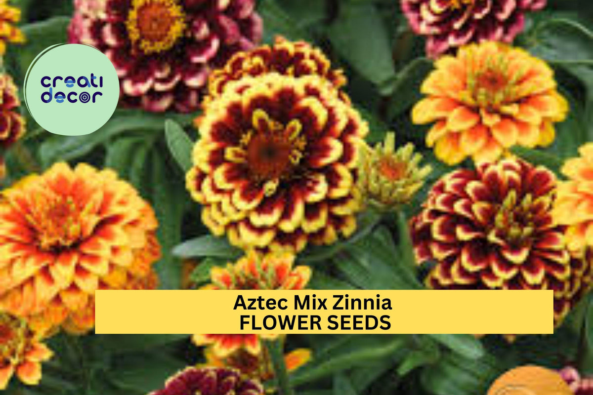 100+ Aztec Mix Zinnia Seeds – Vibrant Multi-Color Annual Flowers for Pollinator Gardens
