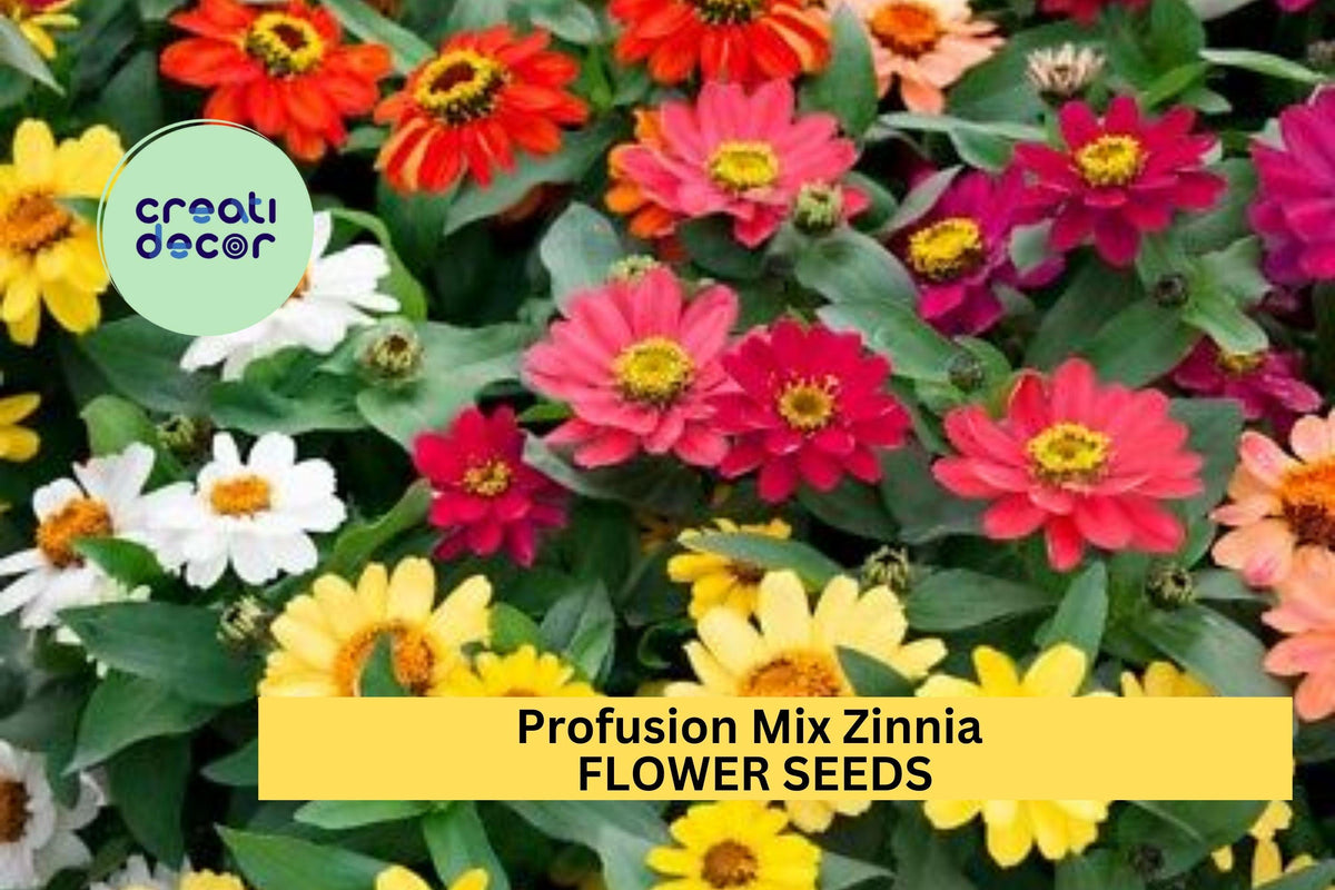 100+ Profusion Mix Zinnia Seeds – Vibrant Heat-Tolerant Annuals for Garden Beds & Borders