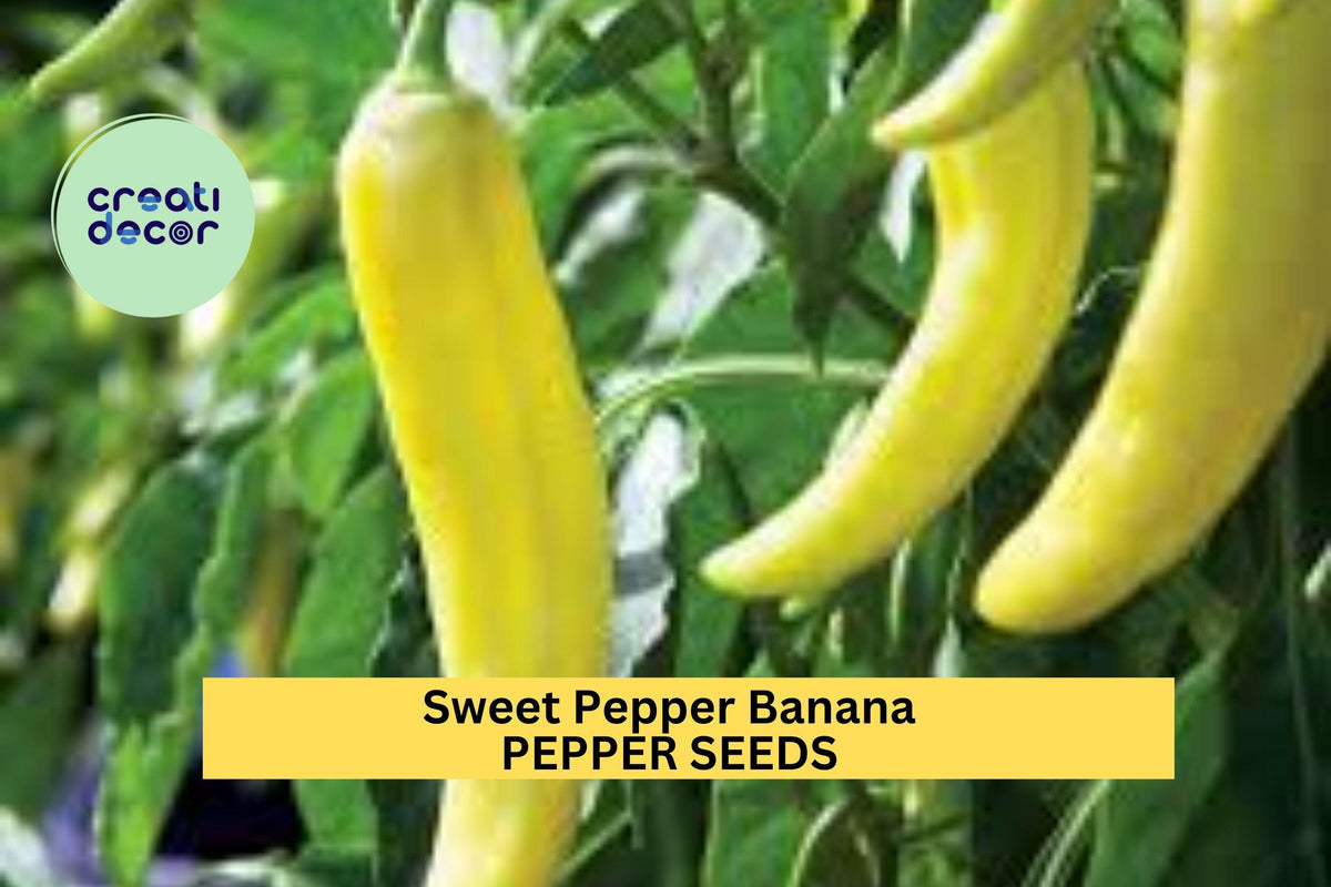Sweet Banana Pepper Seeds 300mg - Mild Yellow Peppers for Pickling & Cooking - Capsicum annuum - 3 Packs