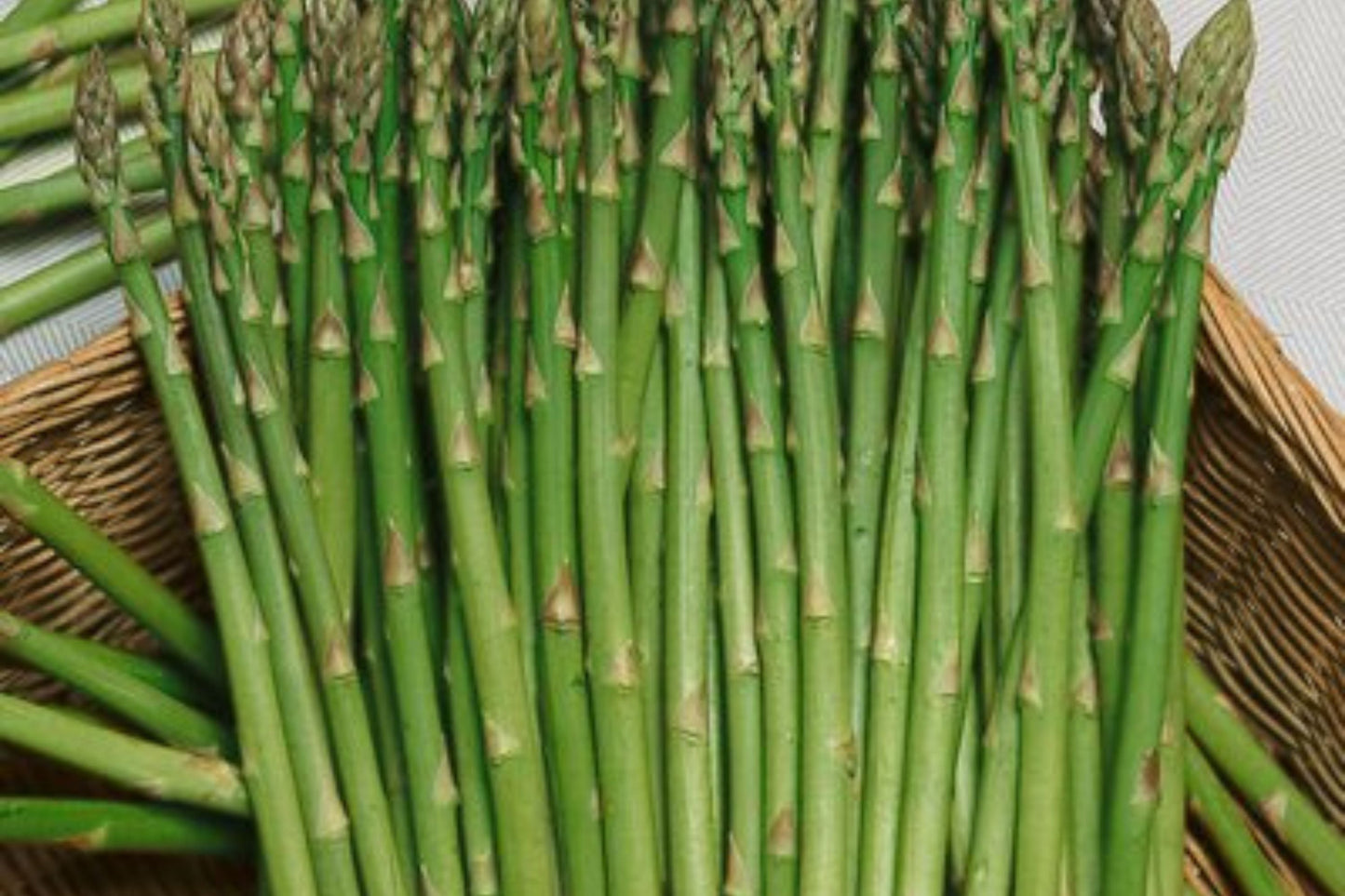 Asparagus Seeds 1g Heirloom Non-GMO Mary Washington Perennial Vegetable Gardening