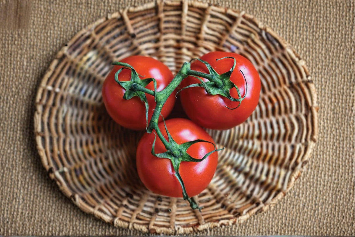 Ace 55 Tomato Seeds | 30 Heirloom Seeds | Low Acid Smooth Red Fruits | Solanum lycopersicum | Slicing Tomato