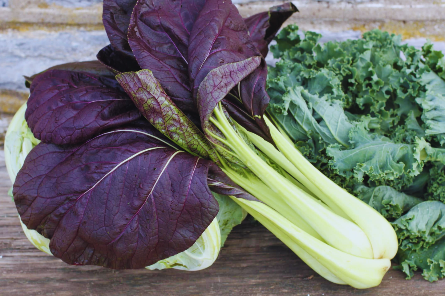 Purple Pak Choy Seeds – Non-GMO Brassica rapa var. chinensis for Home Garden, Salad, Stir-Fry