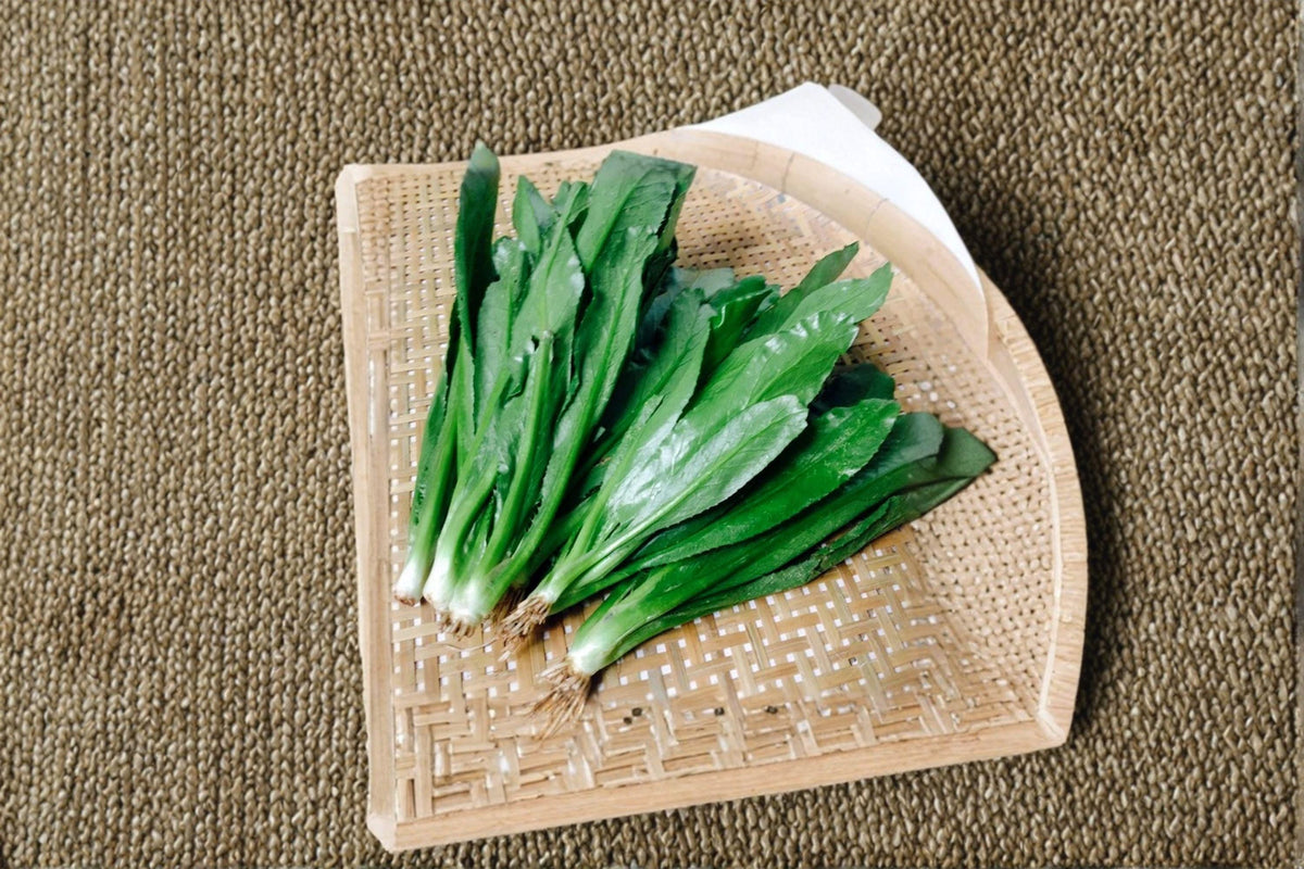 Culantro Seeds - 100 Count - Ngo Gai / Vietnamese Recao - Eryngium foetidum - Tropical Culinary Herb for Authentic Flavor