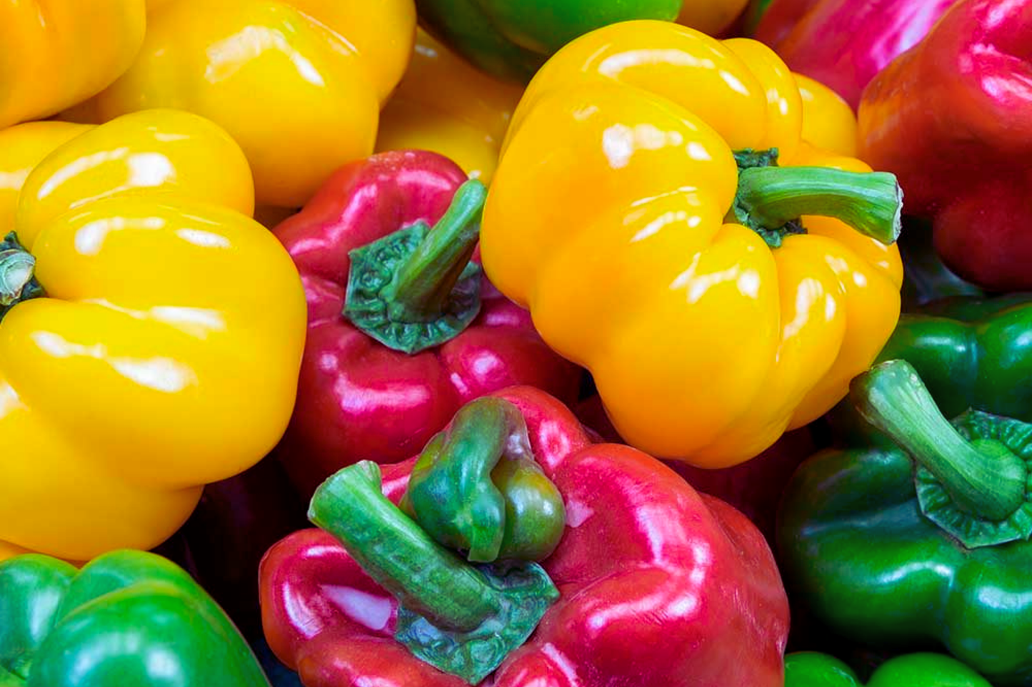California Wonder Sweet Bell Pepper Seeds | NON-GMO Heirloom Capsicum annuum