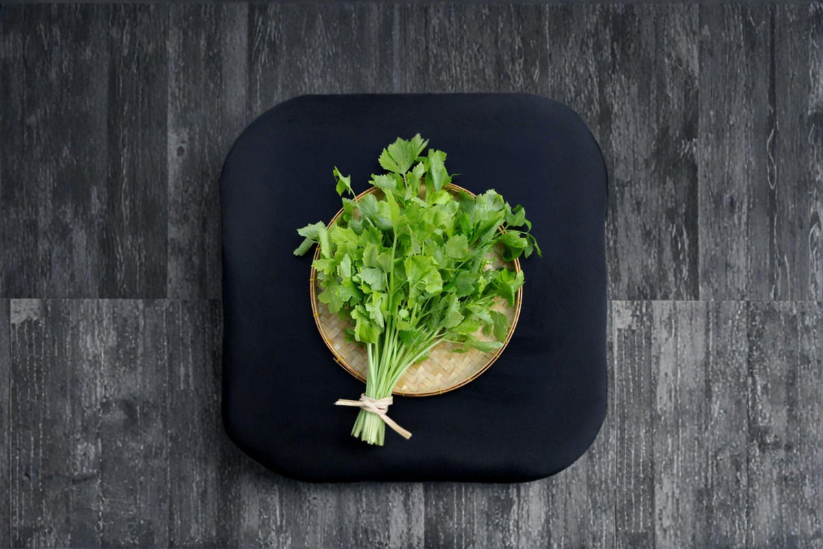 Chinese Celery Seeds - Kintsai Dark Green - 1350 Non-GMO Seeds - Apium graveolens var. secalinum - Crisp Stems & Strong Aroma