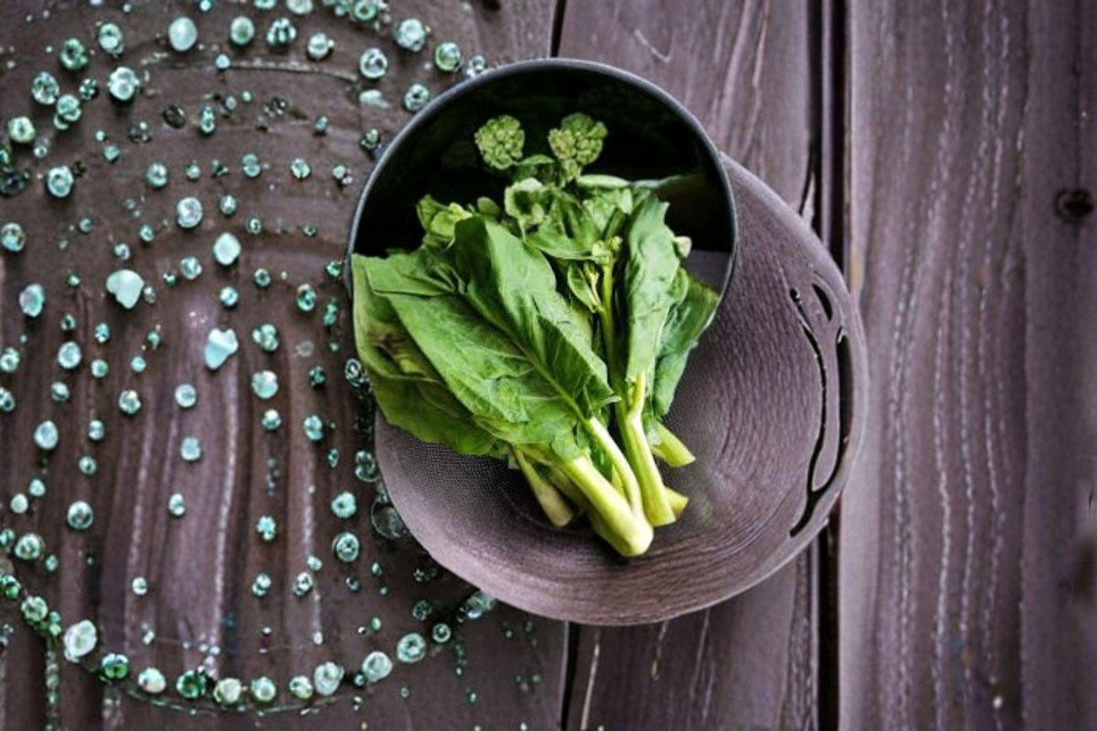 Chinese Broccoli Seeds - 150 Count Wan Shen Kailan - Brassica oleracea var. alboglabra - Tender Stems for Asian Cuisine