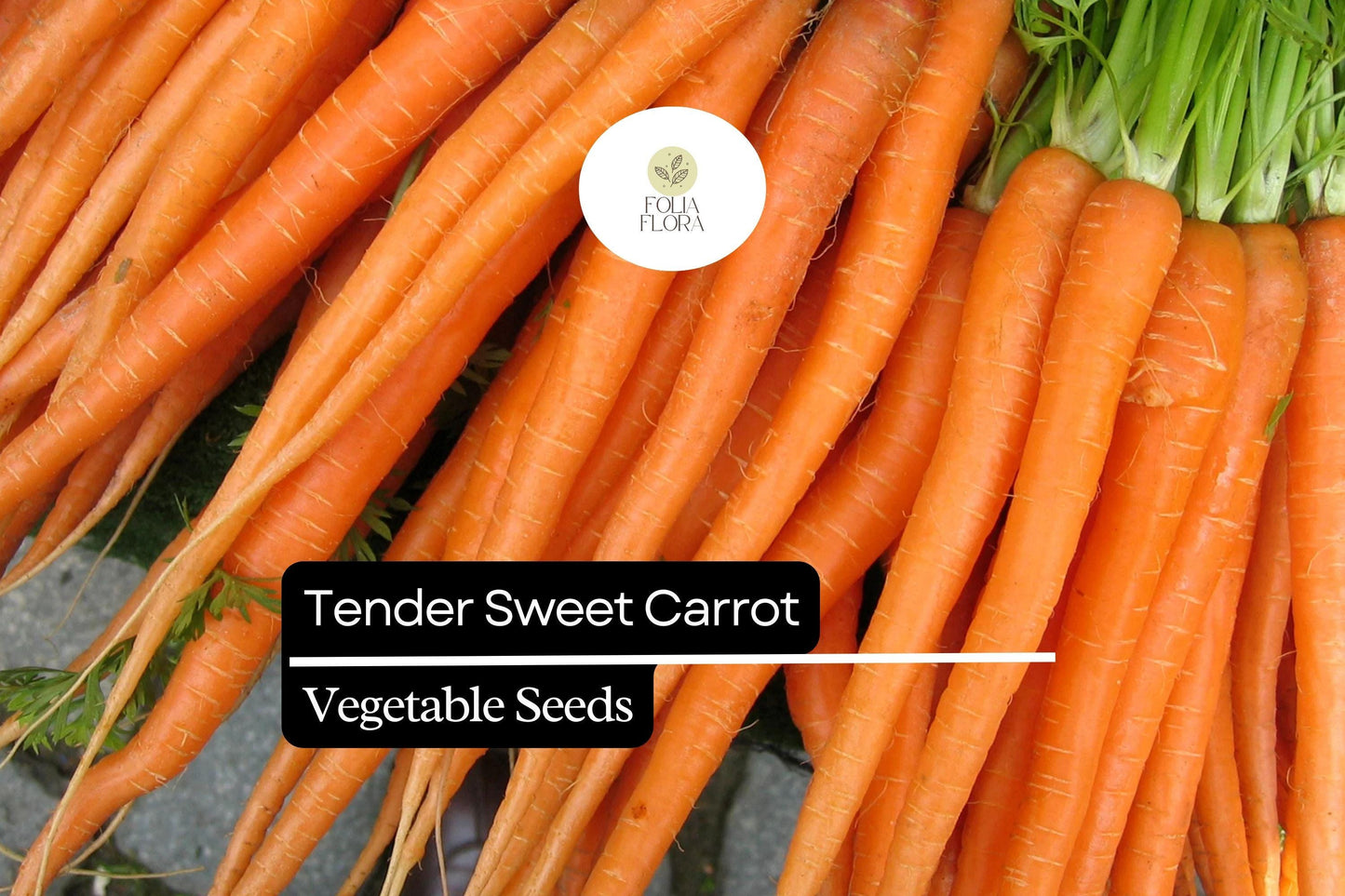 300 Tender Sweet Carrot Seeds – Heirloom, Extra Sweet, Crisp Texture, Non-GMO, Perfect for Juicing