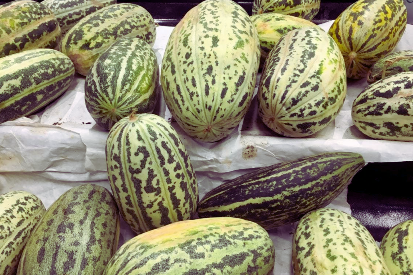 Fragrant Musk Melon Seeds - Dua Gang Thai Muskmelon, Vietnam Variety, Heirloom Cucumis melo for Home Gardening