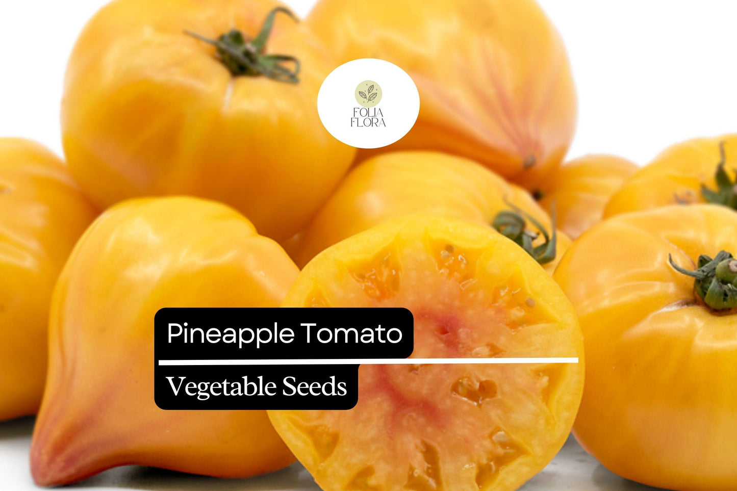 30 Pineapple Tomato Seeds | Heirloom Bicolor Beefsteak | Sweet & Juicy Indeterminate Tomatoes