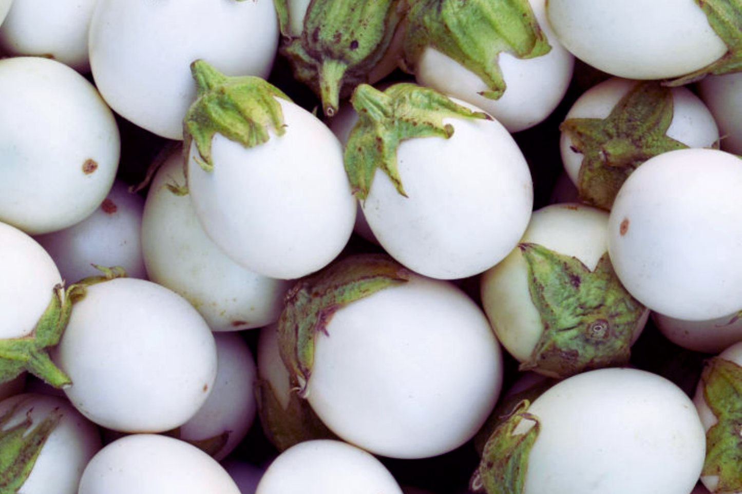 Small White Egg Eggplant Seeds - Thai/Easter Variety | Solanum melongena Vegetable Seeds