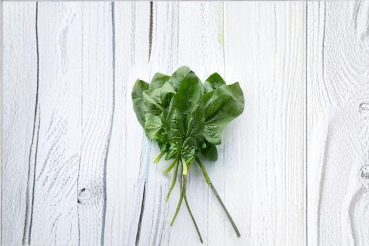 Viroflay Spinach Seeds - 100 Heirloom Seeds, Cold Hardy, Large Smooth Leaves, Spinacia oleracea - Classic French Variety