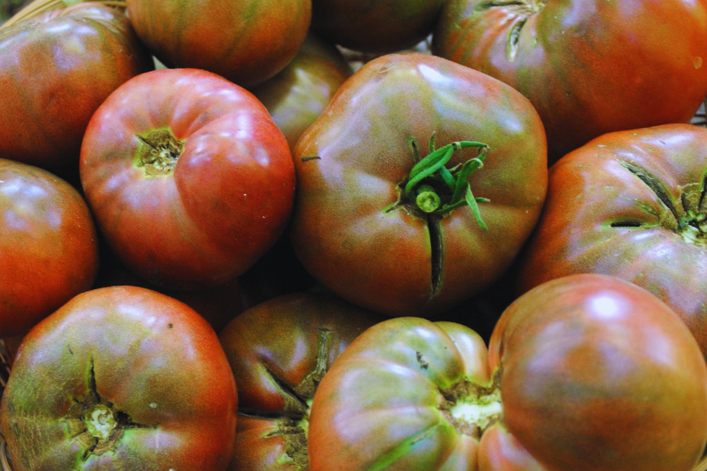 Cherokee Purple Tomato Seeds | Non-GMO Heirloom | Organic Gardening