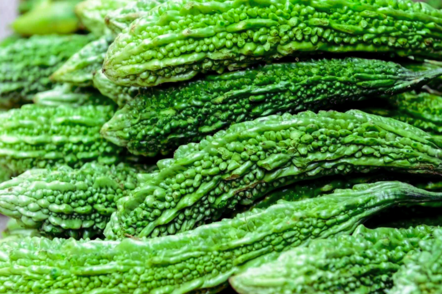Bitter Gourd Seeds | Green Skin Long Variety | Momordica charantia