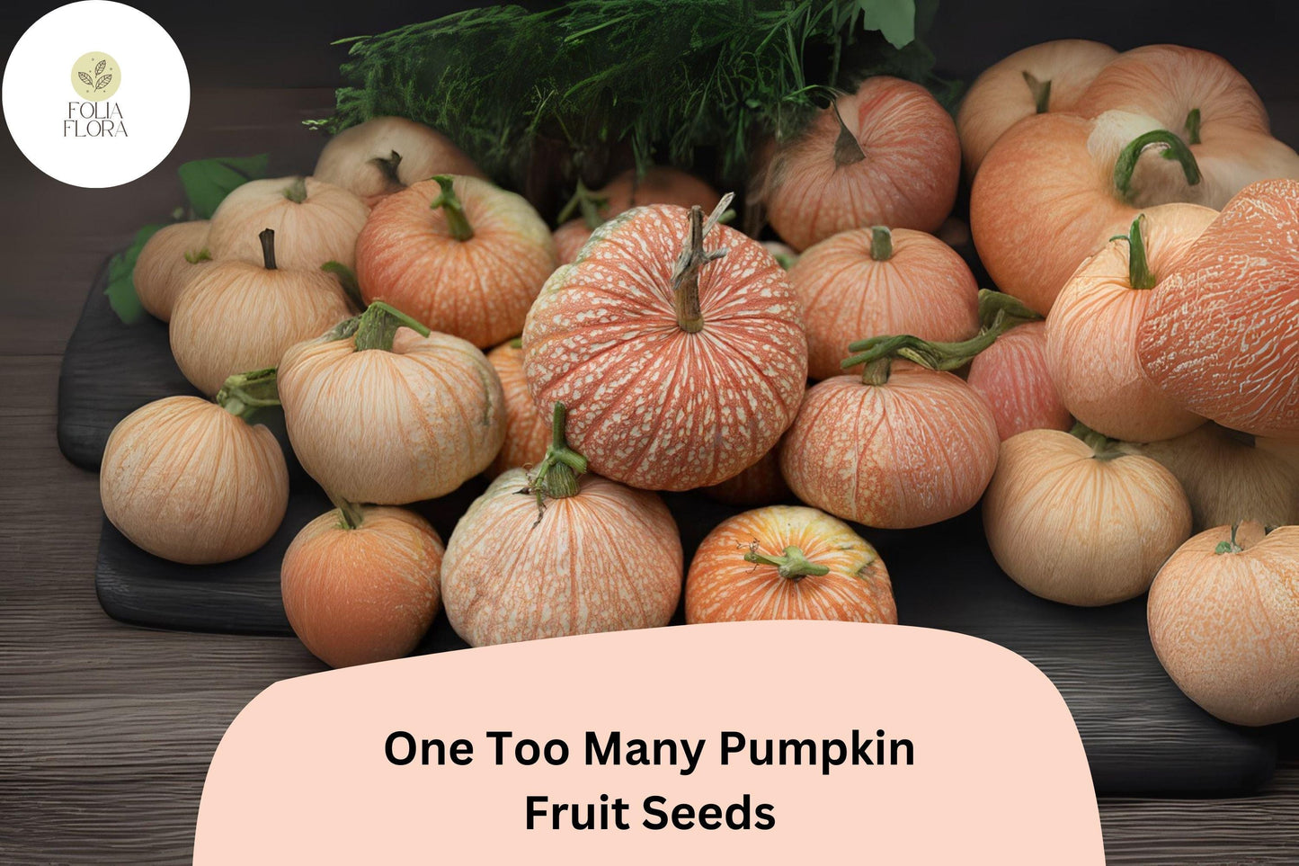 25+ One Too Many Pumpkin Seeds | Unique Red-Striped White Heirloom Pumpkins for Fall