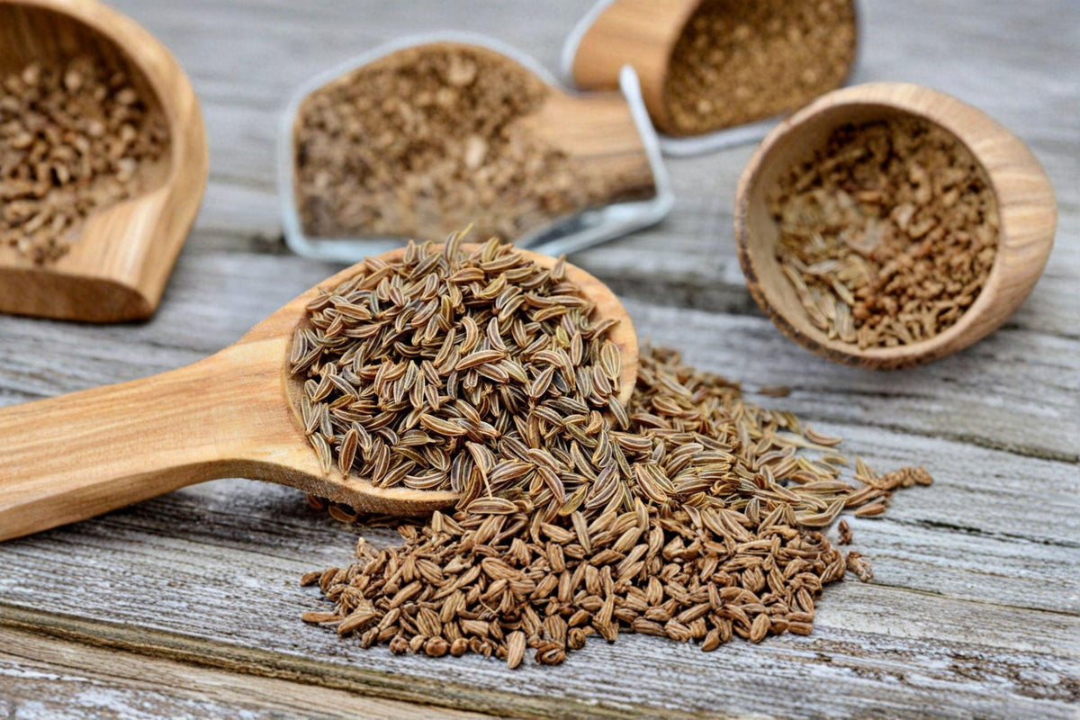 Caraway Seeds 300 Count | Aromatic Culinary Spice | Biennial Herb | Carum carvi | Non-GMO, Easy to Grow