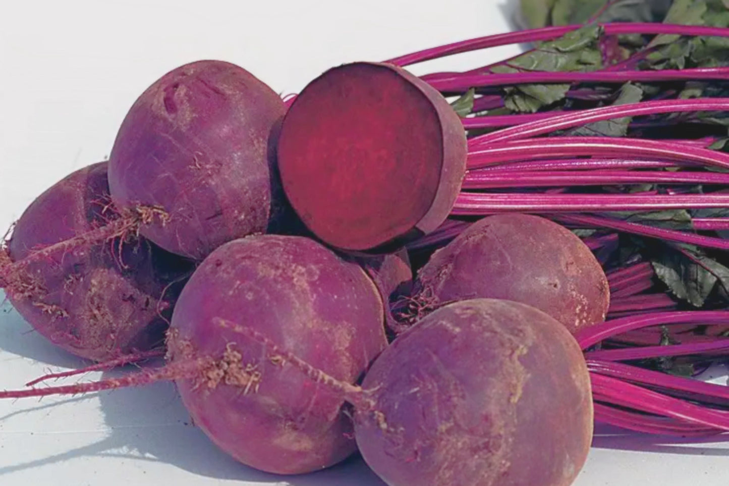 Bulls Blood Beet Seeds | 100+ Non-GMO Organic Heirloom Beta vulgaris