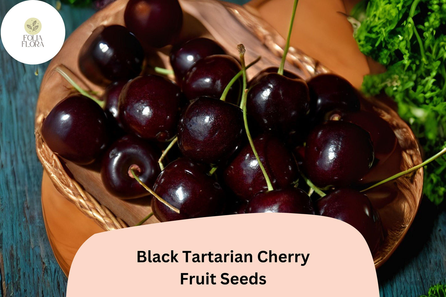 10+ Black Tartarian Cherry Seeds | Sweet Early-Season Dark Cherry Tree Seeds for Garden Planting