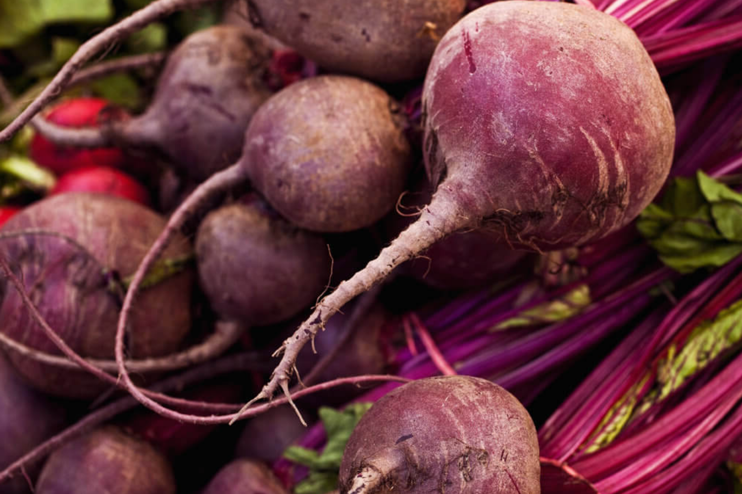 Detroit Dark Red Beet Seeds | Non-GMO Beta vulgaris | Early Maturing Vegetable Seeds