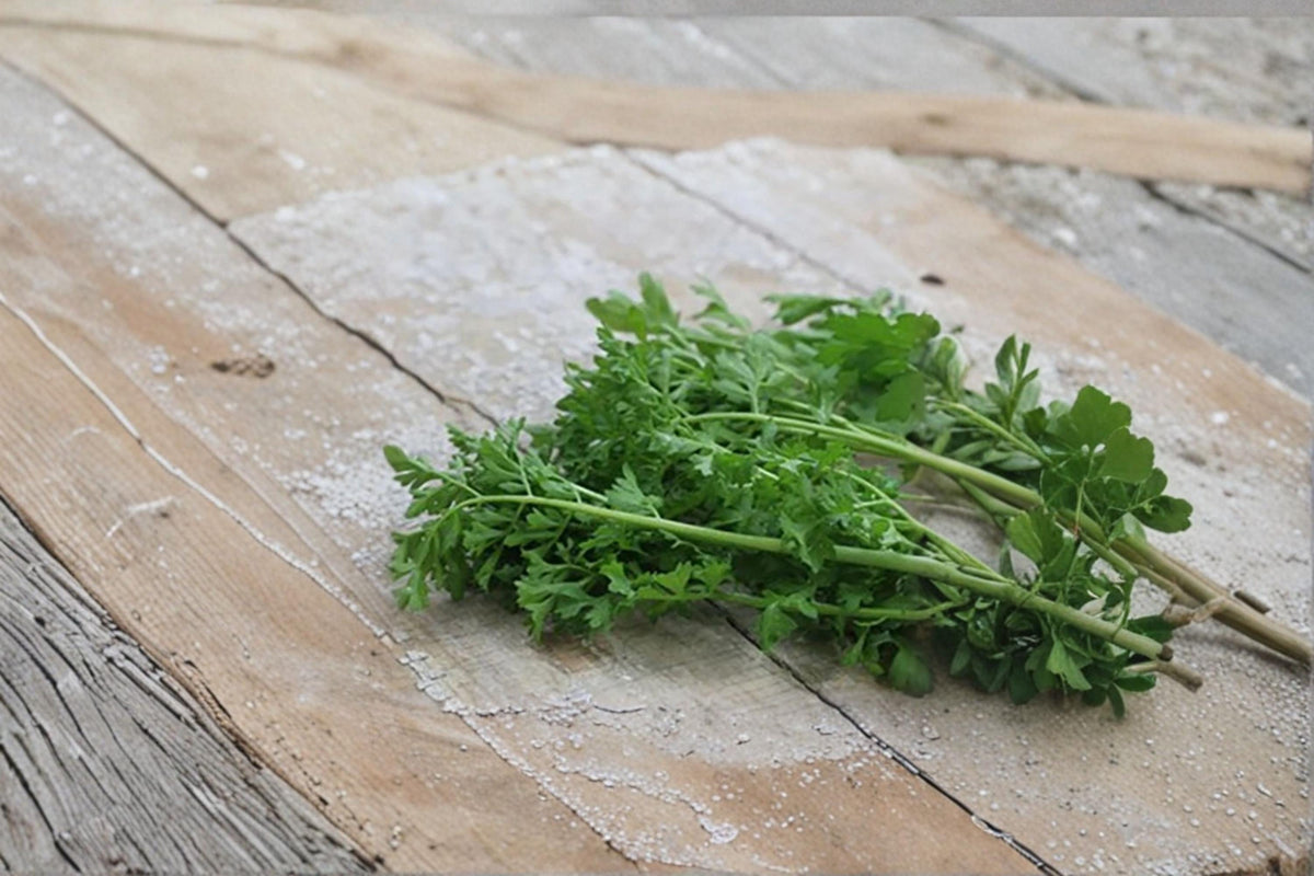 Pepper Cress Seeds – 75 Fast-Growing Microgreen Herb – Lepidium sativum – Ideal for Indoor & Outdoor Edible Gardens