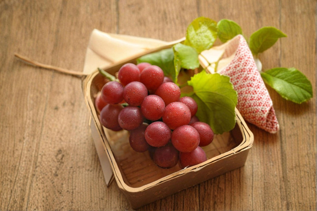 Ruby Roman Grape Cuttings 6-8" Unrooted Vitis vinifera ‘Ruby Roman’ Red Grapes for Propagation and Home Gardens