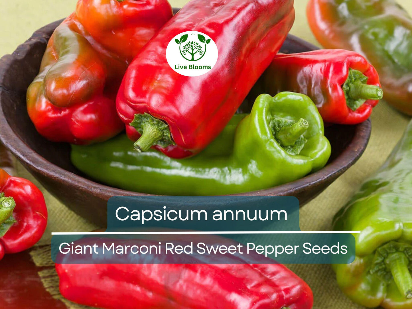 250 mg Giant Marconi Red Sweet Pepper Seeds - Heirloom Capsicum annuum for Home Gardening & Culinary Use