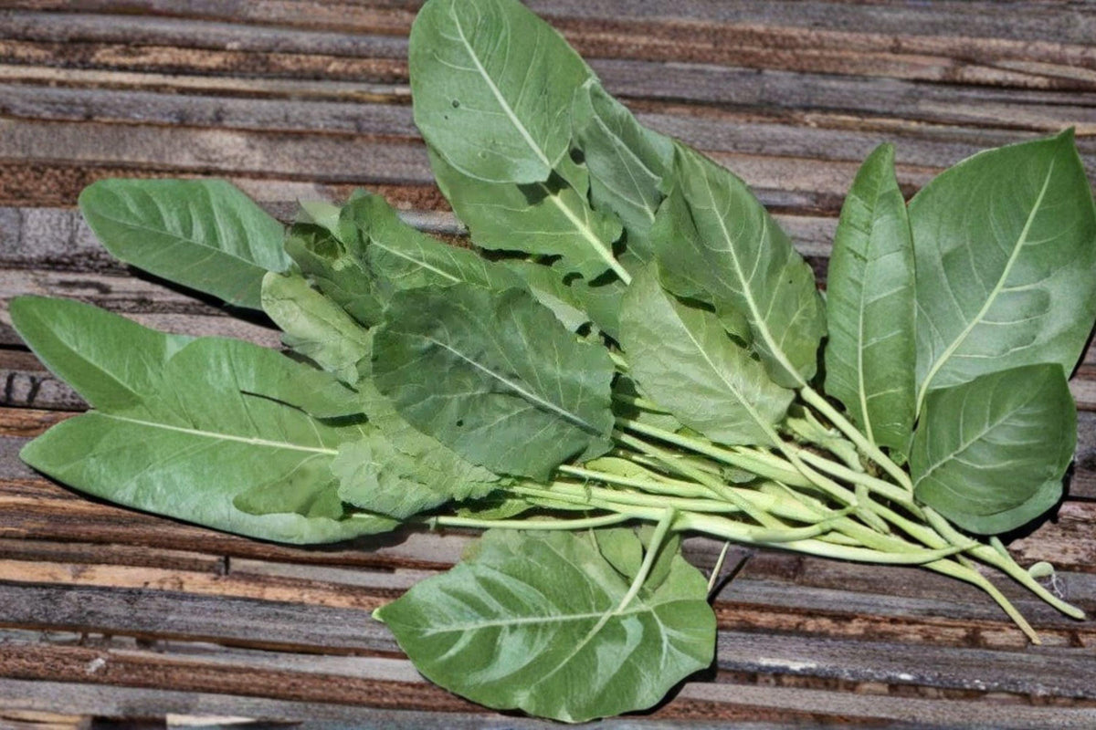 Collard Greens Seeds - 300 Vates Heirloom Seeds | Compact Plants | Cold Tolerant Brassica oleracea var. viridis