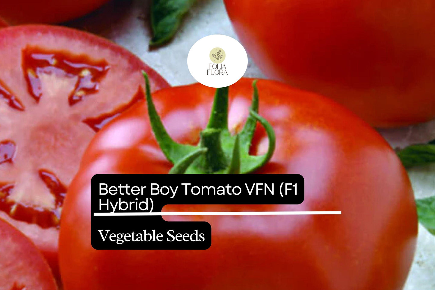 10 Seeds Better Boy Tomato VFN - High-Yield Hybrid, Disease Resistant, Large Juicy Red Fruits