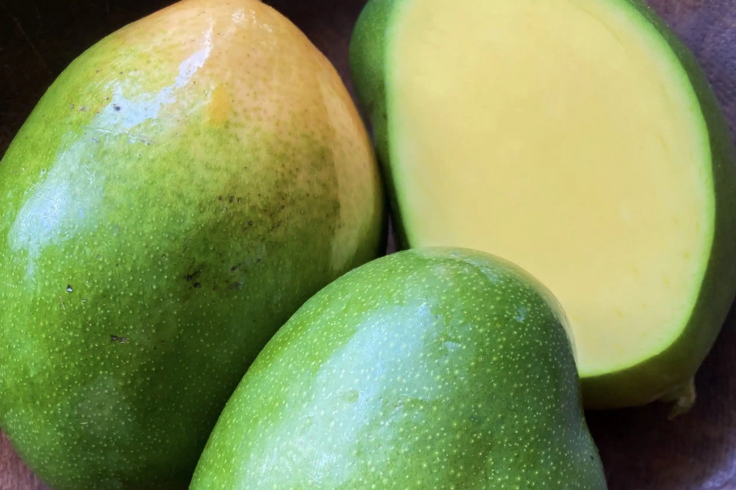 Grafted Mango Keitt Starter Plant Seedling – 3-4 ft Tropical Fruit Tree for Garden or Container – Sweet, Flavorful Mangoes – Mangifera indica