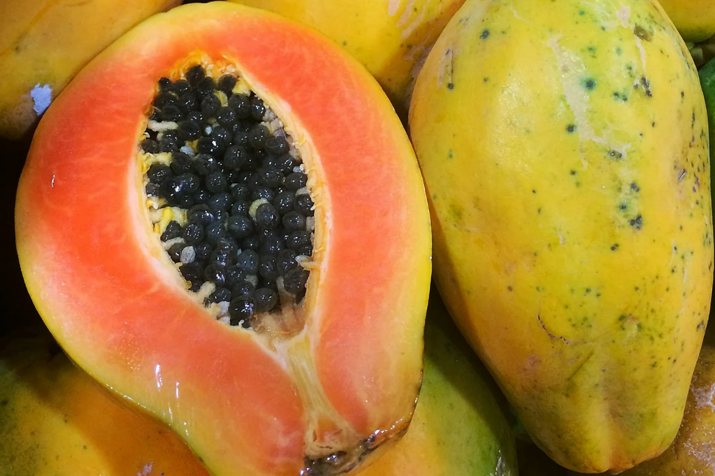 25 Solo Sunset Papaya Seeds - Fast-Growing Tropical Fruit Tree, Red/Pink Flesh, Container Friendly, Carica papaya