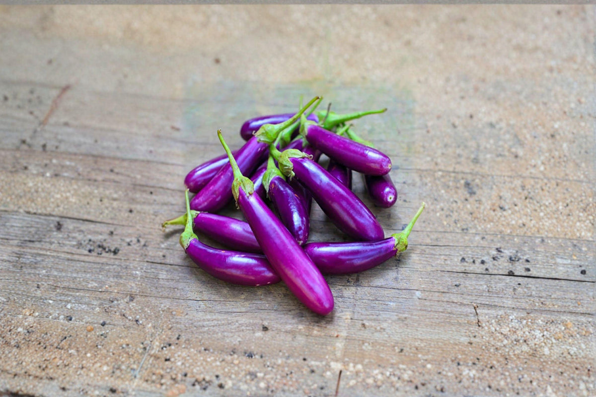 Long Purple Eggplant Seeds - 50 Heirloom Seeds, Solanum melongena, Slender Fruits for Grilling, Stir-fries, and Curries
