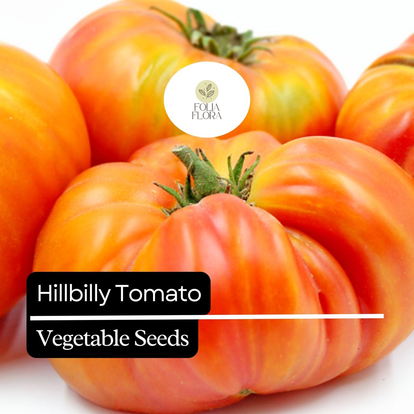 30 Hillbilly Tomato Seeds – Heirloom Sweet Juicy Beefsteak Tomatoes with Yellow-Orange and Red Stripes