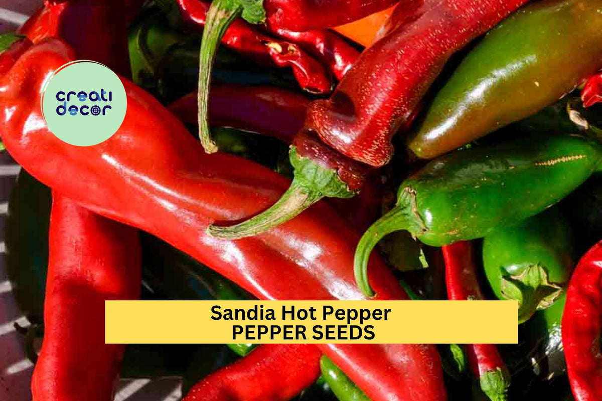 Sandia Hot Pepper Seeds 3pcs 250mg - Mild to Medium Heat Chili, Capsicum annuum, Ideal for Roasting & Salsa, Home Garden Planting