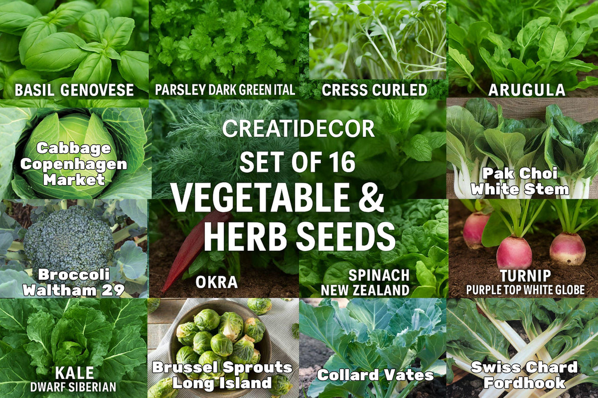 Set of 16 Vegetable & Herb Seeds – Garden Starter Pack with Basil, Kale, Broccoli, Okra & More – USA
