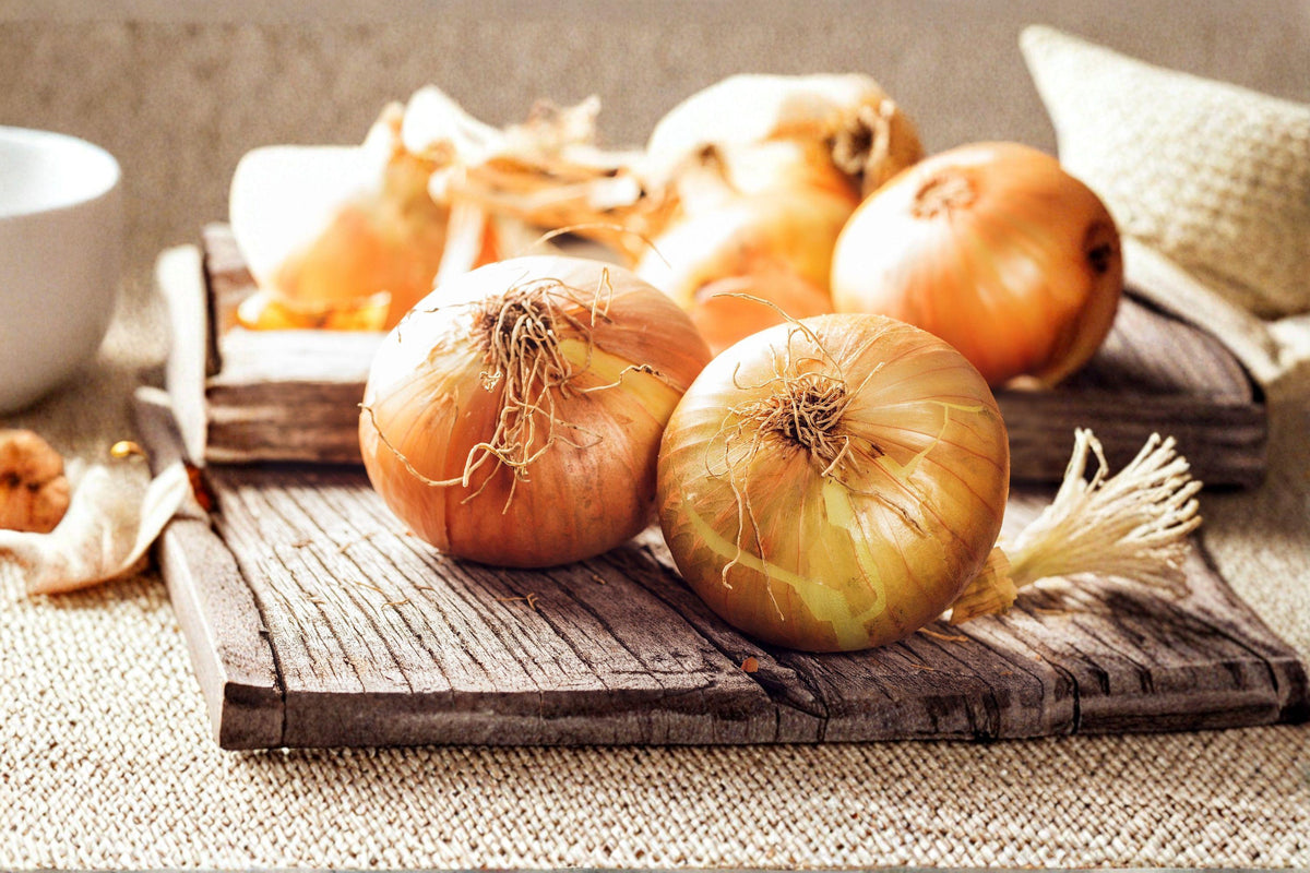 Walla Walla Sweet Onion Seeds - 50 Heirloom Seeds - Allium cepa - Large Juicy Bulbs with Mild Flavor for Home Garden