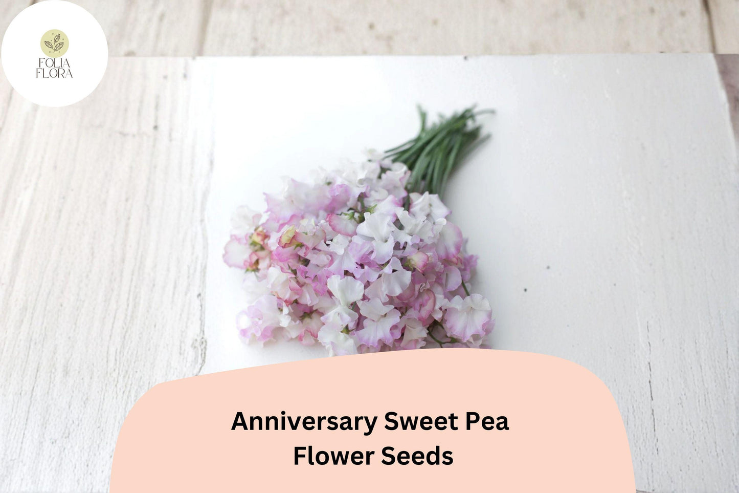 Anniversary Sweet Pea Seeds – Pink Climbing Annual Flowers for Trellises & Cottage Gardens, 50+ Seeds
