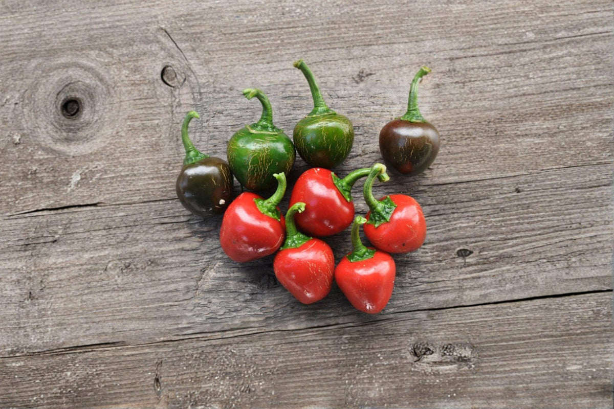 Red Cherry Sweet Pepper Seeds - 25 Seeds, Capsicum annuum, Mild Flavor, Round Cherry Shape, Perfect for Stuffing & Pickling