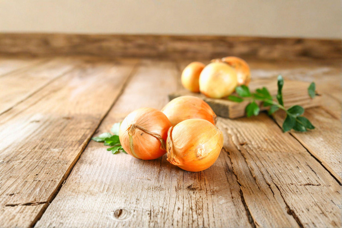 Utah Yellow Sweet Spanish Onion Seeds - 50 Non-GMO Seeds - Allium cepa - Large Sweet Onion for Cooking and Storage