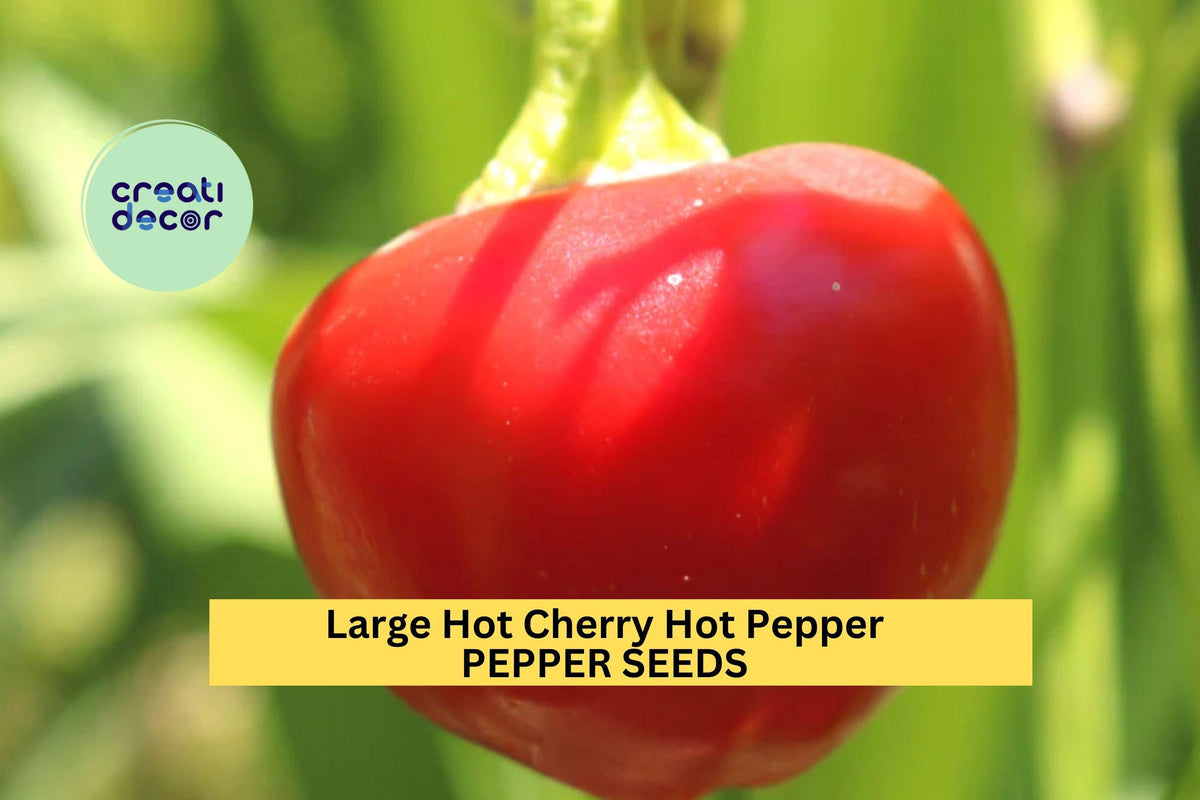 Large Cherry Hot Pepper Seeds 250mg 3pcs - Capsicum annuum, Bright Red, Spicy Round Peppers for Pickling & Home Gardening
