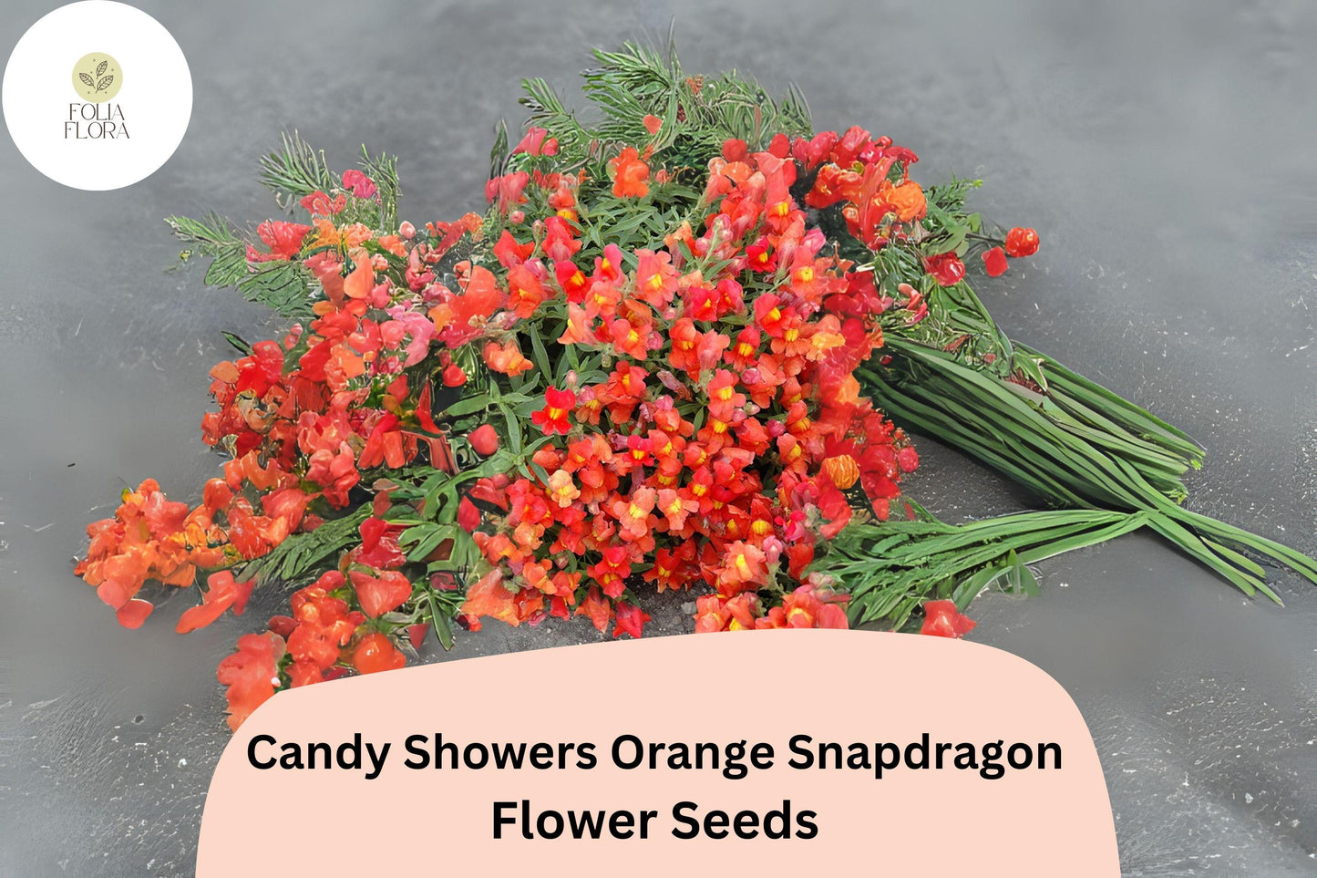 Candy Showers Orange Snapdragon Seeds - 1000+ Trailing Tangerine Blooms for Gardens & Hanging Baskets