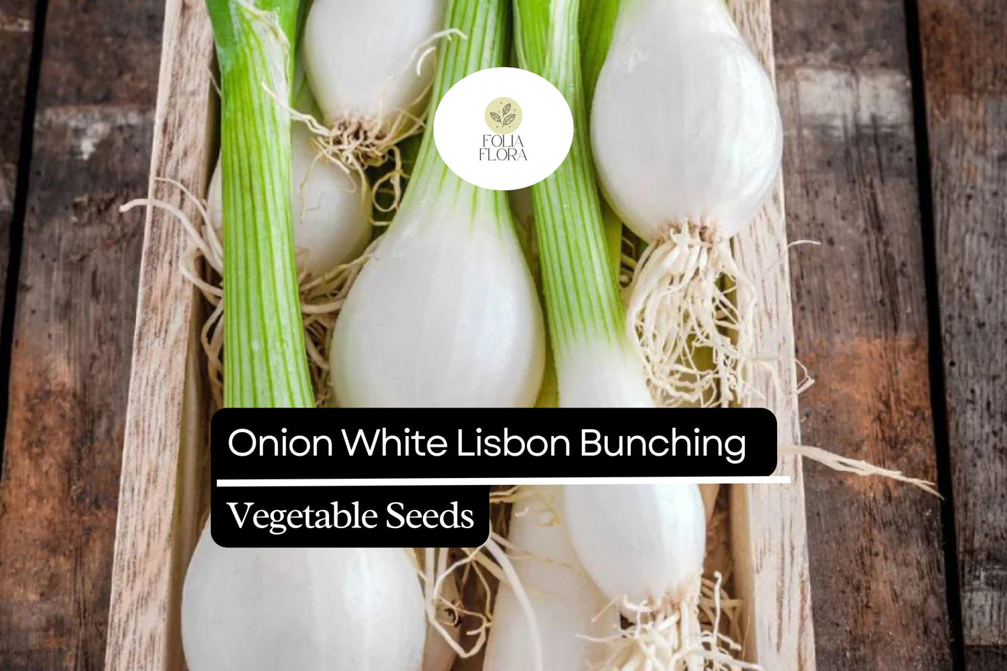 250mg White Lisbon Bunching Onion Seeds - Fast-Growing Heirloom Non-GMO Scallions