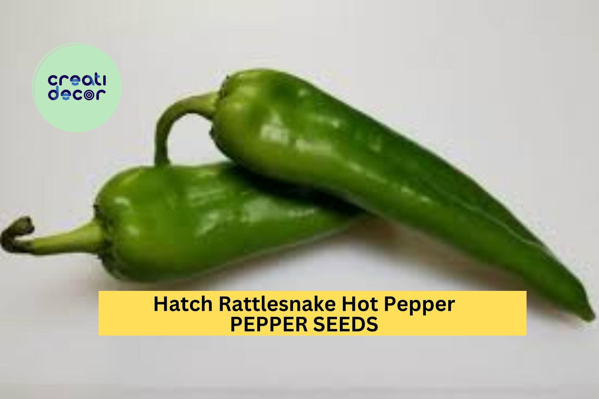 Hatch Rattlesnake Hot Pepper Seeds 250mg - Capsicum annuum - Medium to Hot Chili Seeds for Grilling & Salsas - 3 Pack