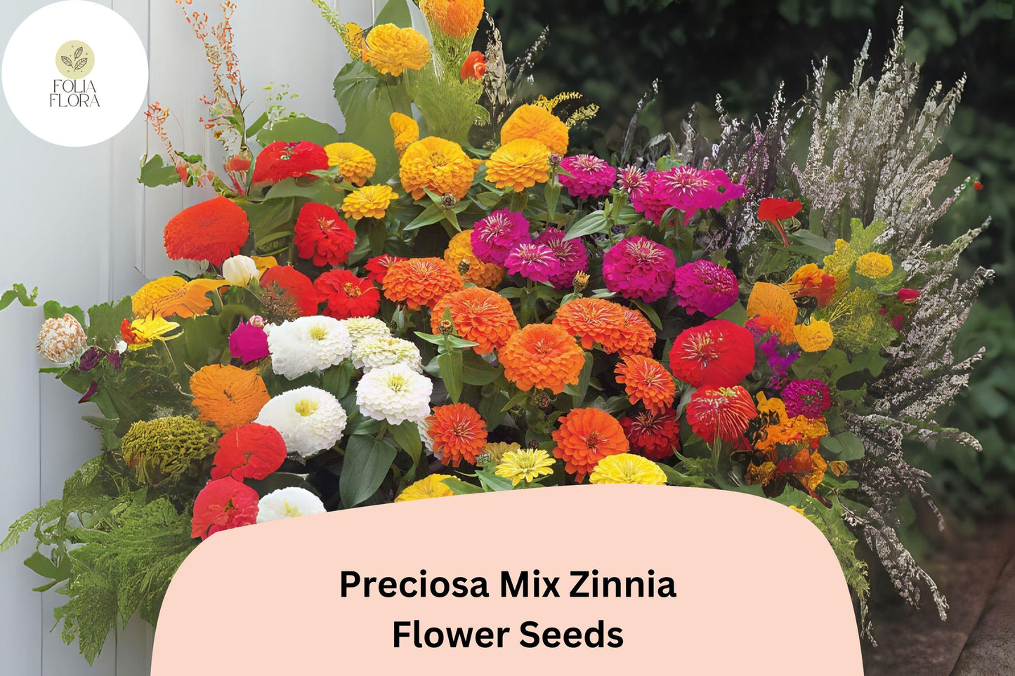 100+ Preciosa Mix Zinnia Seeds - Colorful Annual Flowers, Easy Grow, Pollinator Friendly