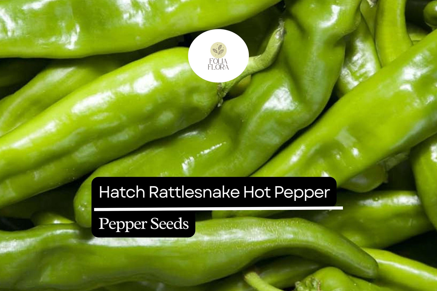 25 Hatch Rattlesnake Pepper Seeds – Heirloom Capsicum annuum with Smoky, Spicy Flavor