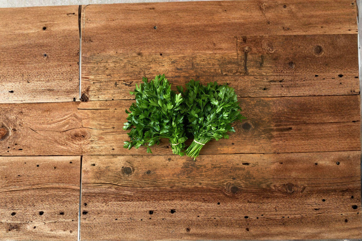 Dark Green Italian Giant Parsley Seeds - 500 Non-GMO Flat-Leaf Petroselinum crispum for Culinary Use, High-Yield Herb Gardening