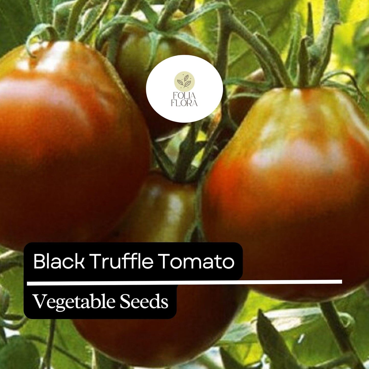30 Black Truffle Tomato Seeds – Heirloom Non-GMO Pear-Shaped Tomatoes with Rich Sweet Flavor