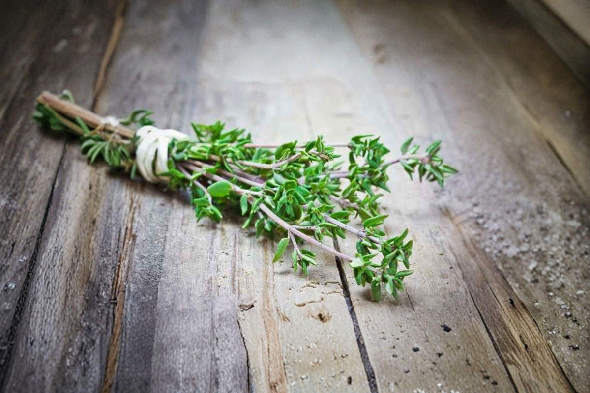 Thyme Seeds 350 Count | Classic Culinary Herb | Thymus vulgaris | Hardy Perennial, Aromatic & Pollinator-Friendly