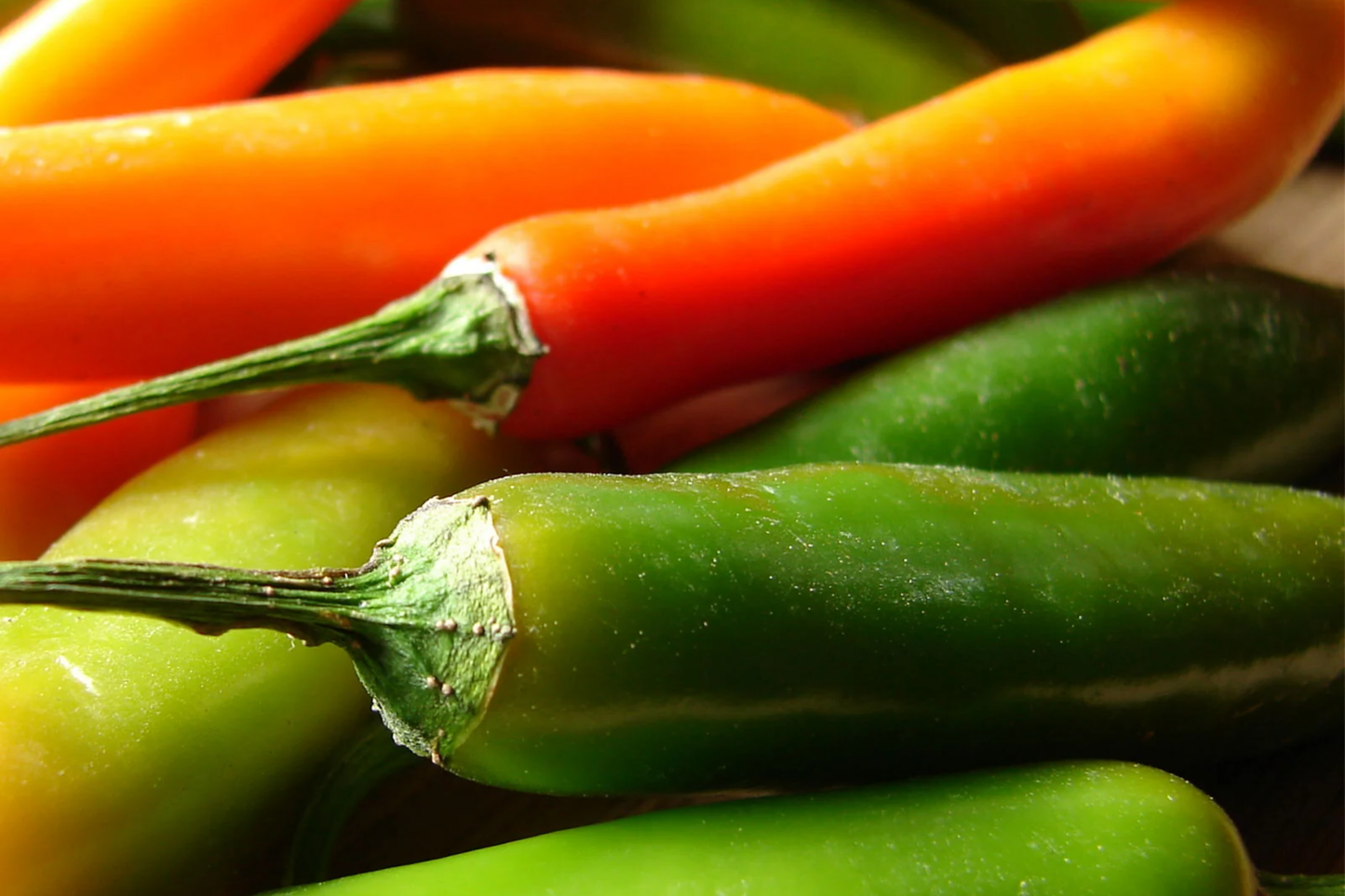Barker Hot Pepper Seeds 250mg, Capsicum annuum, Spicy New Mexican Chili, Heirloom, High Yield, Non-GMO for Salsas & Cooking