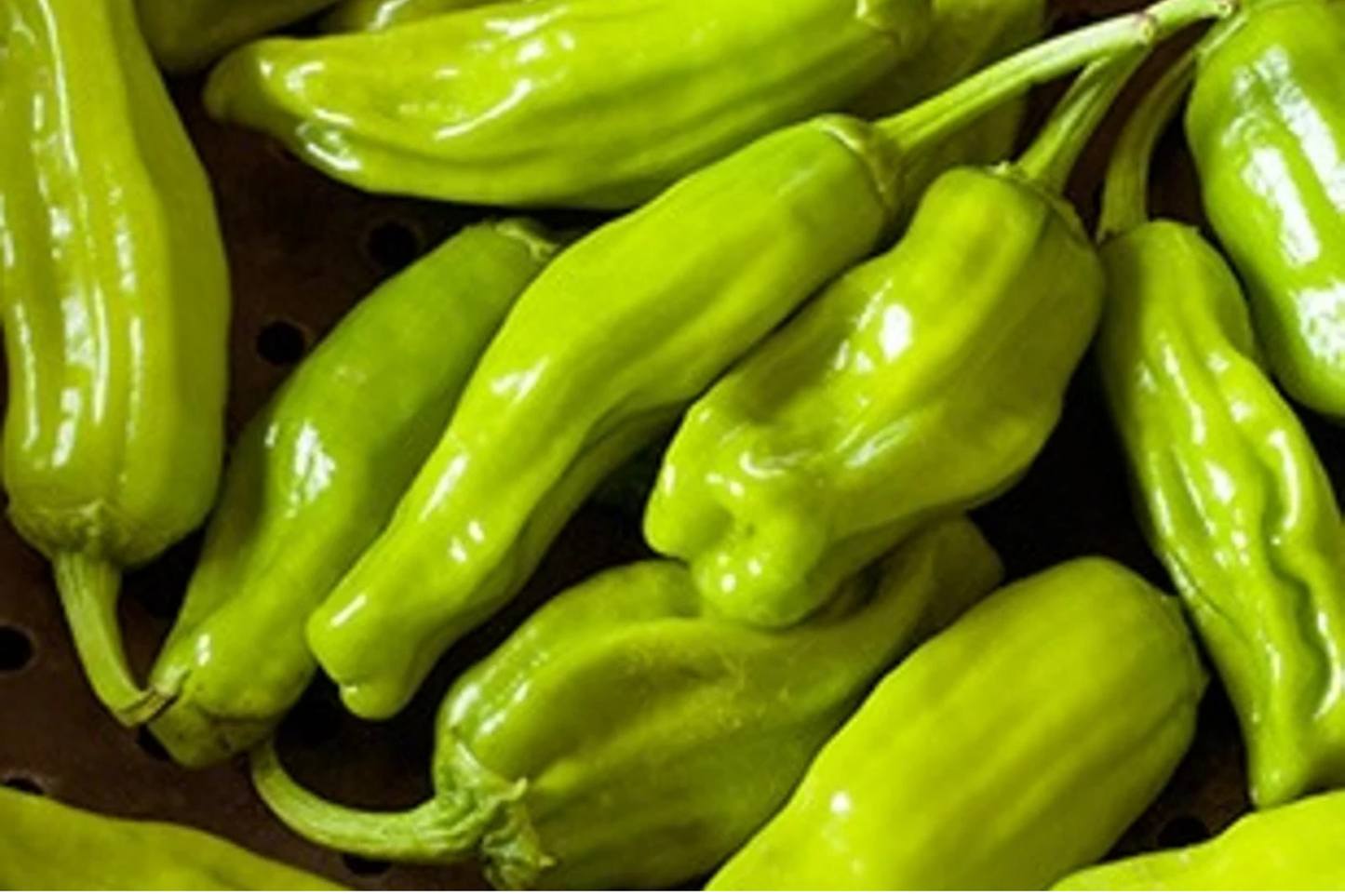 Pepperoncini Italian Sweet Pepper Seeds 250mg Non-GMO Capsicum annuum for Pickling & Fresh Use